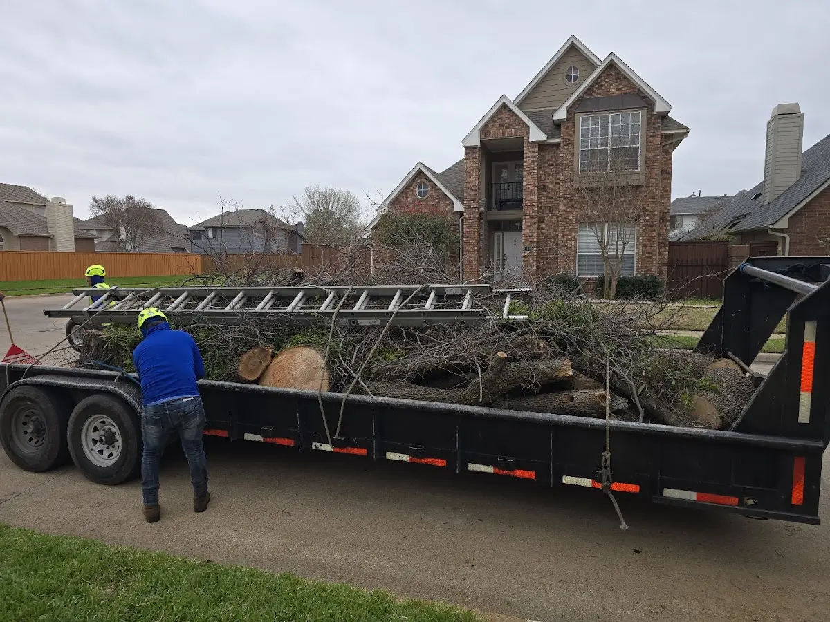 Expert Tree Pest Control with proper safety equipment in Center Point